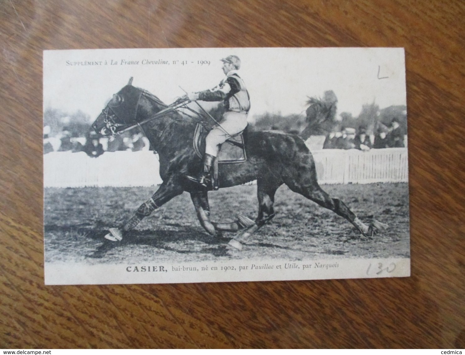 CASIER,BAI-BRUN,NE EN 1902,PAR PAUILLAC ET UTILE,PAR NARQUOIS SUPPLEMENT A LA FRANCE CHEVALINE N°41-1909 - Cavalli