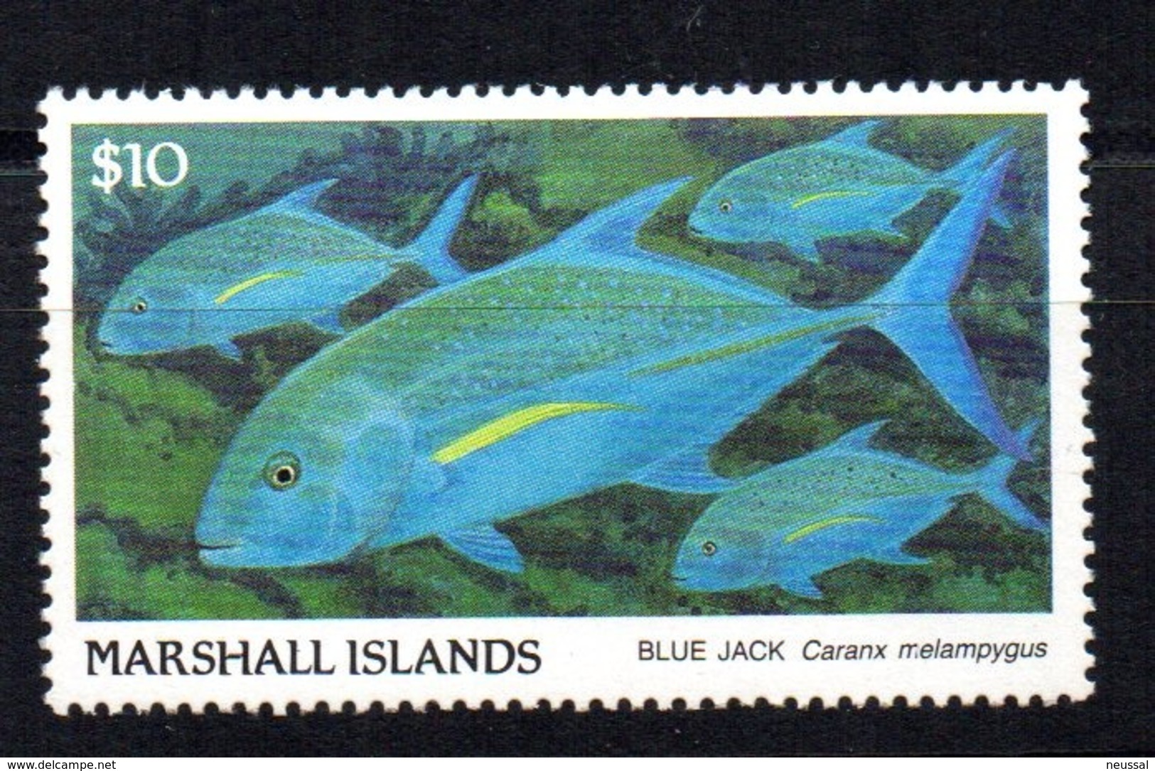 Sello  Nº 223  Marshall Island - Peces