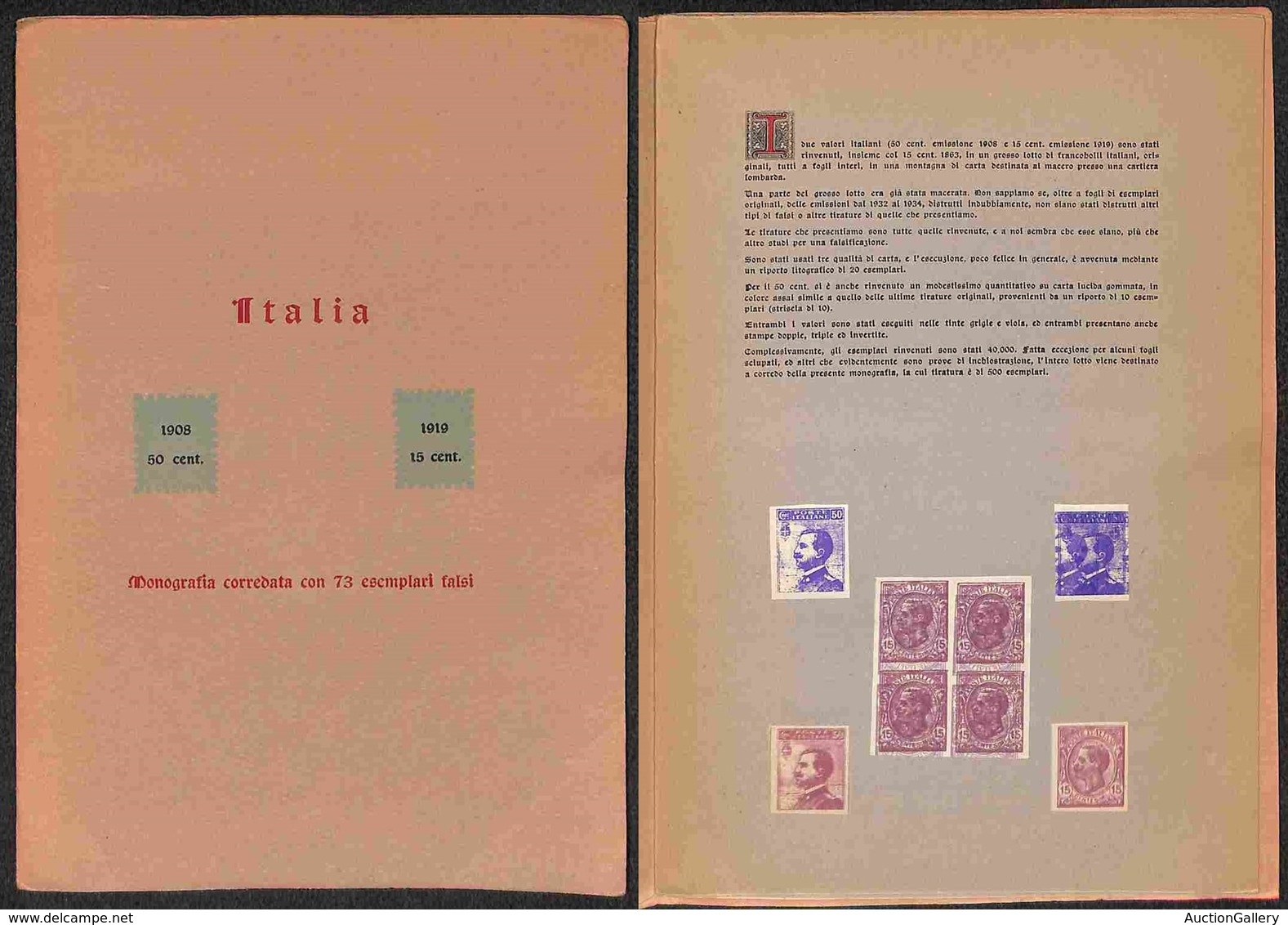 REGNO - 1908/1919 - Leoni Michetti - Monografia Martinero/Rigon (1950) Con I Relativi Falsi Singoli E In Blocchi (senza  - Other & Unclassified