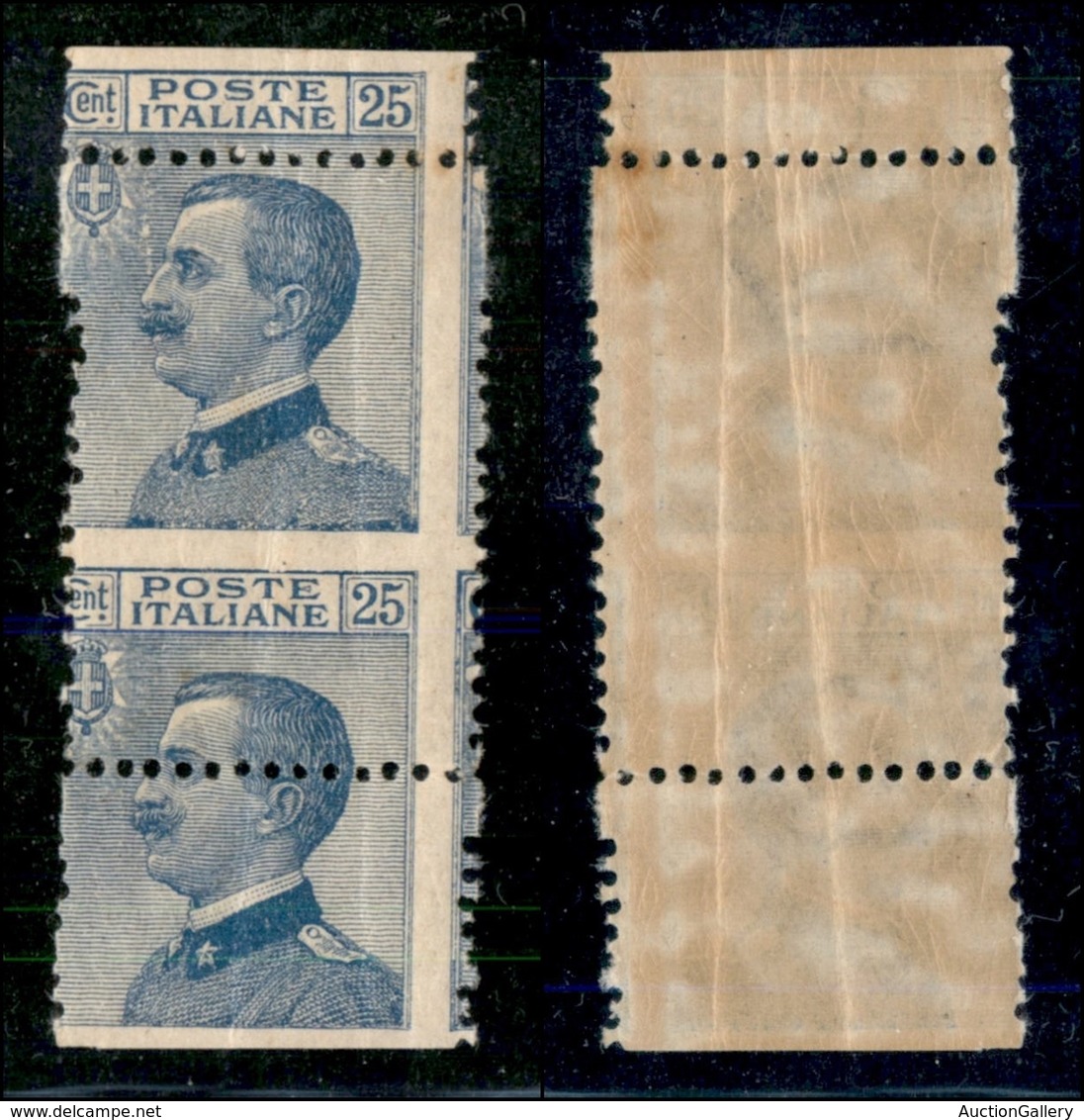 REGNO - 1908 - 25 Cent Michetti (83 - Formato Anomalo) - (salto Di Dentellatura Di 30 Millimetri In Verticale) - Gomma I - Autres & Non Classés