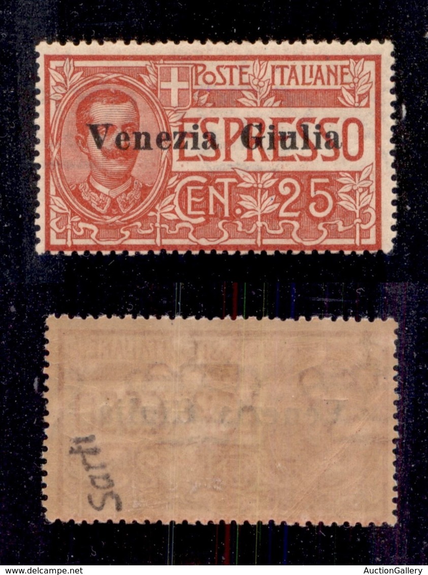 OCCUPAZIONI I GUERRA MONDIALE - VENEZIA GIULIA - 1919 - 25 Cent (1) - Gomma Integra (625) - Other & Unclassified