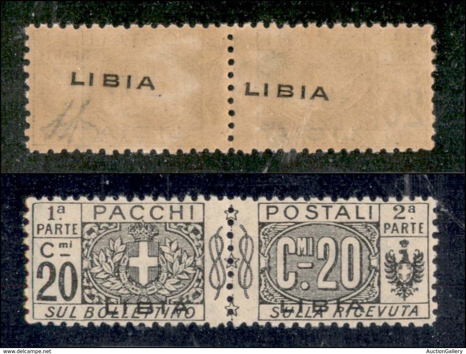 COLONIE - LIBIA - Pacchi Postali - 1918 - 20 Cent (3b) Con Soprastampa Recto Verso - Gomma Integra (675) - Autres & Non Classés
