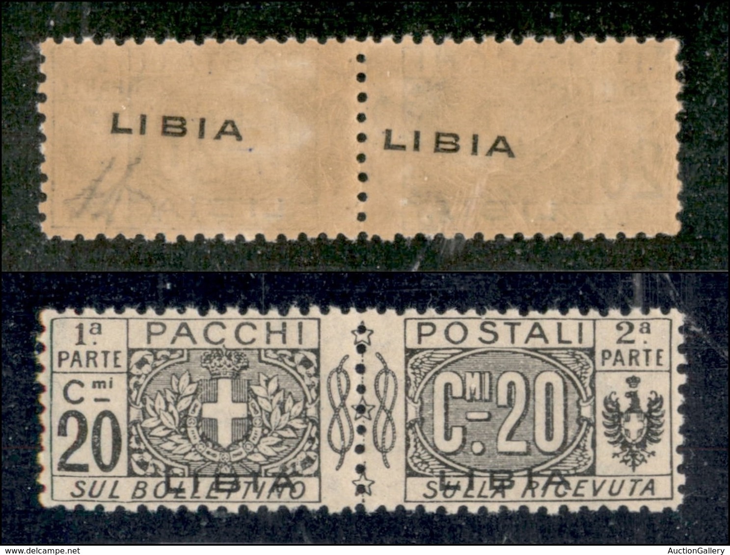 COLONIE - LIBIA - Pacchi Postali - 1918 - 20 Cent (3b) Con Soprastampa Recto Verso - Gomma Integra (675) - Otros & Sin Clasificación