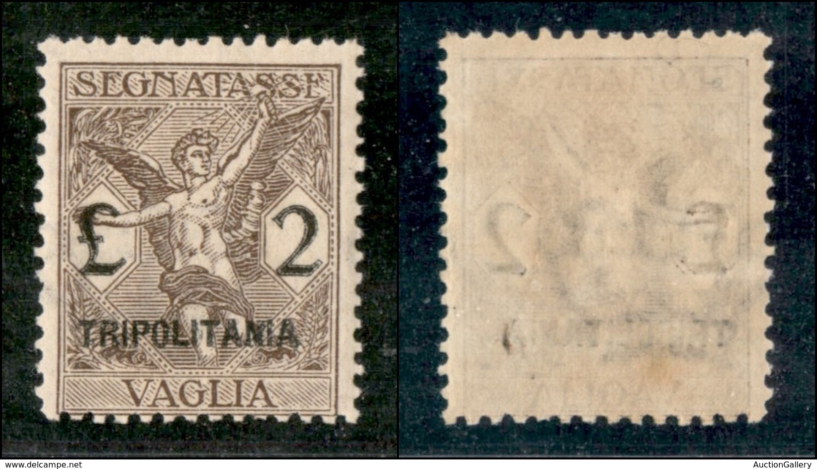 COLONIE - TRIPOLITANIA - Segnatasse Per Vaglia - 1924 - 2 Lire (5) - Gomma Integra (270) - Other & Unclassified