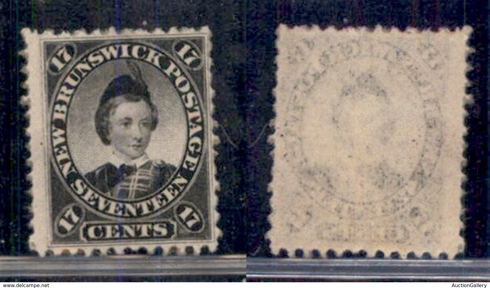 OLTREMARE - CANADA - NEW BRUNSWICK - 1860 - 17 Cent (9) - Gomma Integra - Other & Unclassified