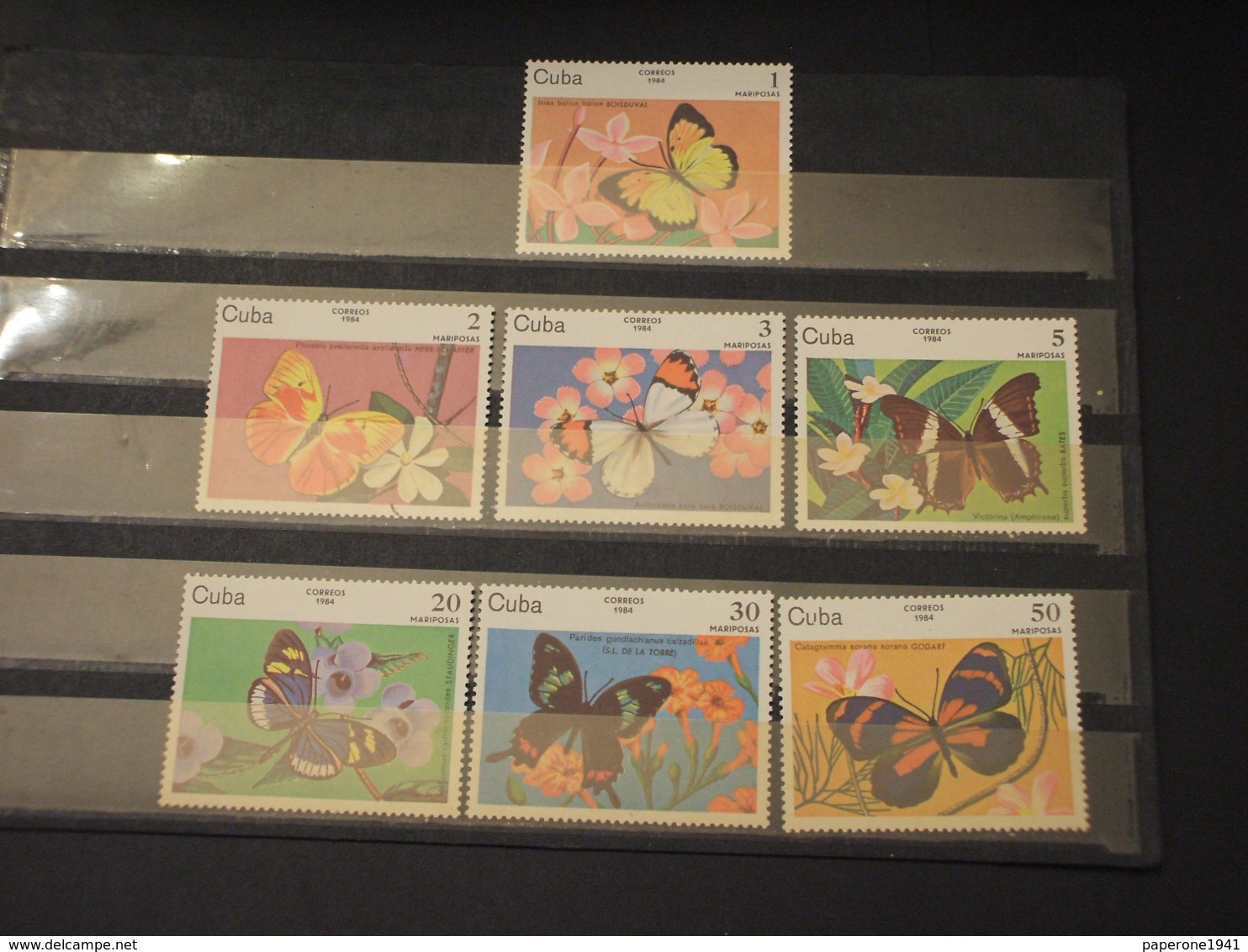 CUBA - 1984 FARFALLE/FIORI 7 VALORI - NUOVI(++) - Unused Stamps