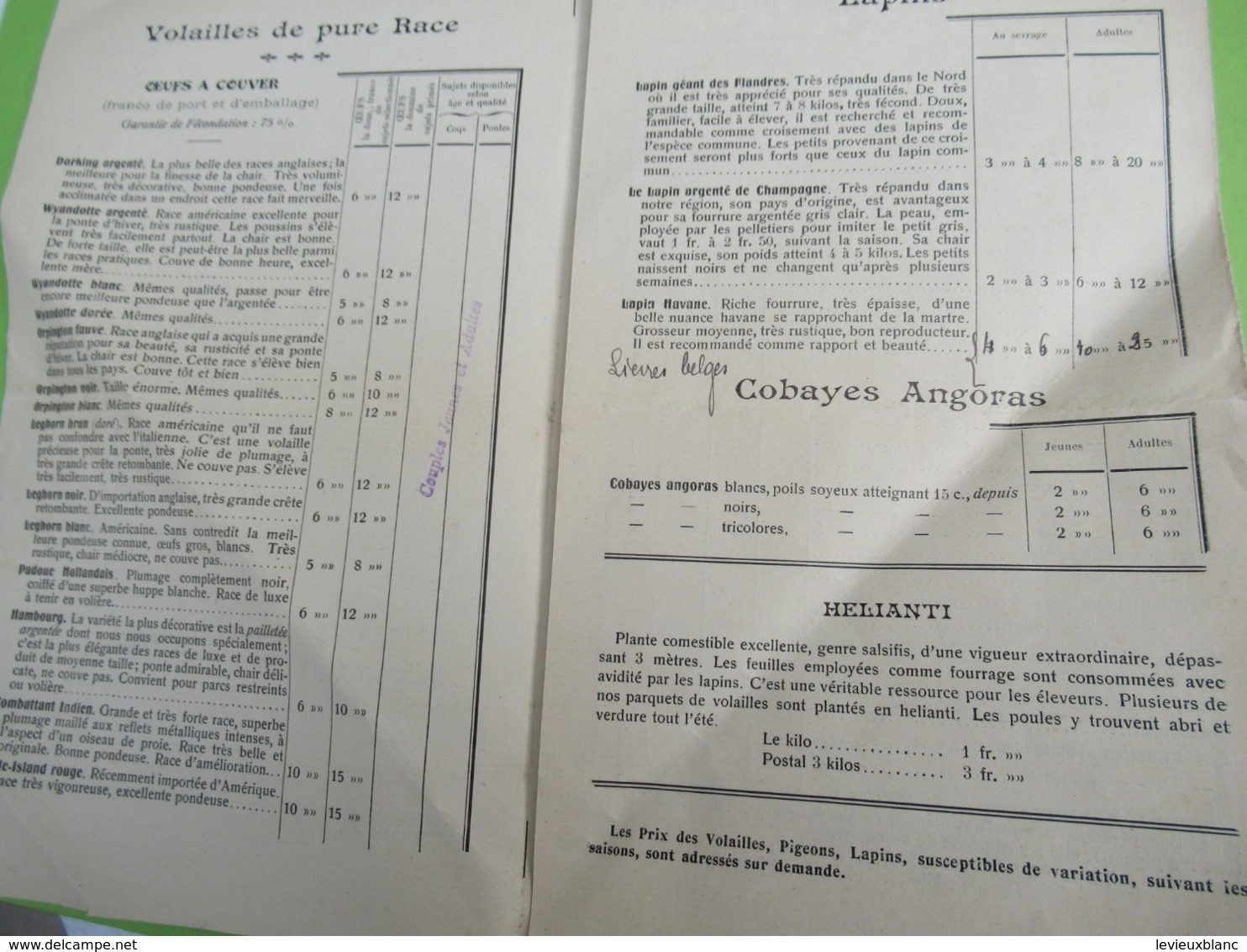 Dépliant Catalogue-tarif à 3 Volets/Etablissement D'Elevage De Races De Volailles/DE BACKER/Chateau-Thierry/1911  CAT266 - Sonstige & Ohne Zuordnung