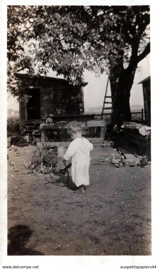 Photos Originale Jeu & Jouet - Enfant Jouant à La Roue Au Poulailler Vers 1930 - Poules - Objets