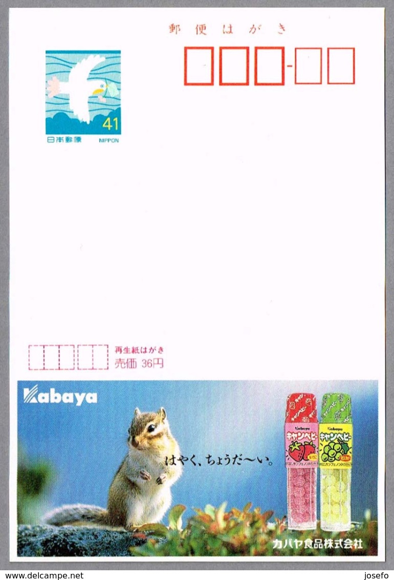 ARDILLA - SQUIRREL - ECUREUIL. Tarjeta Entero-postal De Japon - Otros & Sin Clasificación