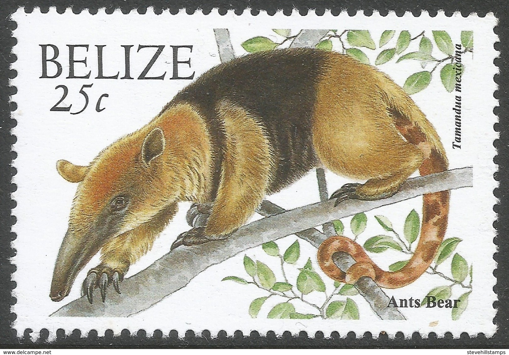 Belize. 2000 Wildlife. 25c MNH. SG 1257 - Belize (1973-...)