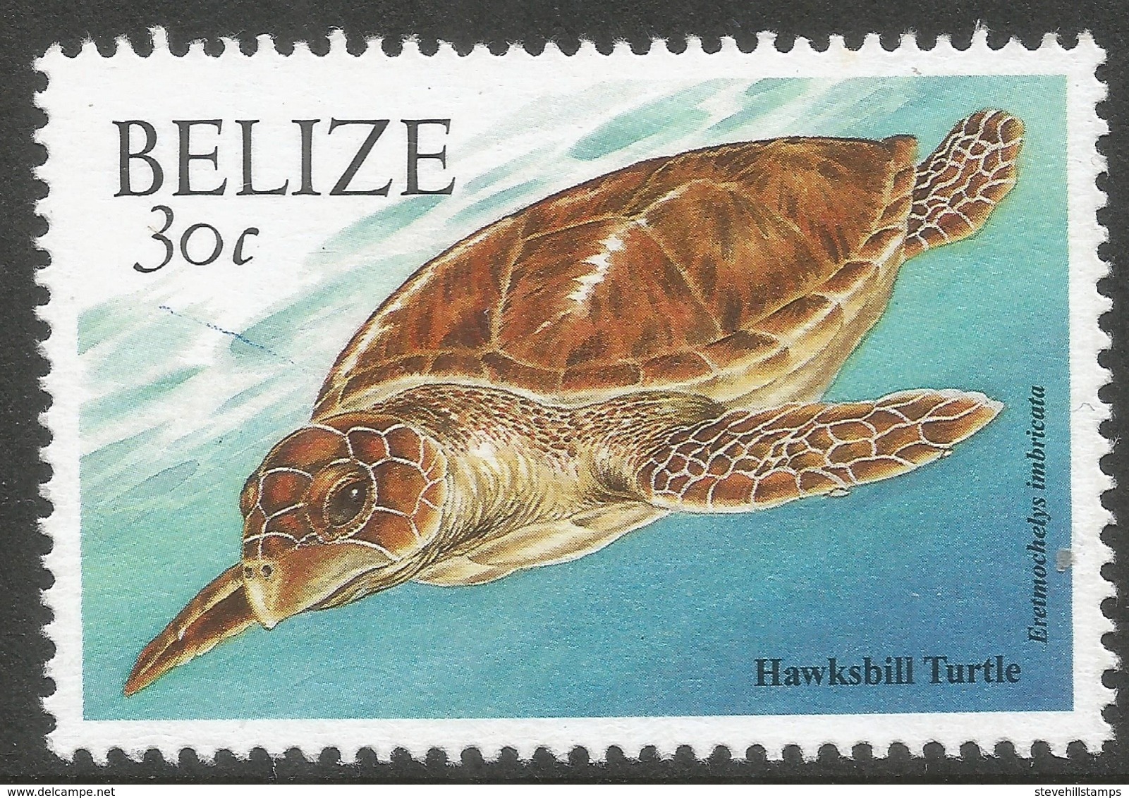 Belize. 2000 Wildlife. 30c MNH. SG 1258 - Belize (1973-...)