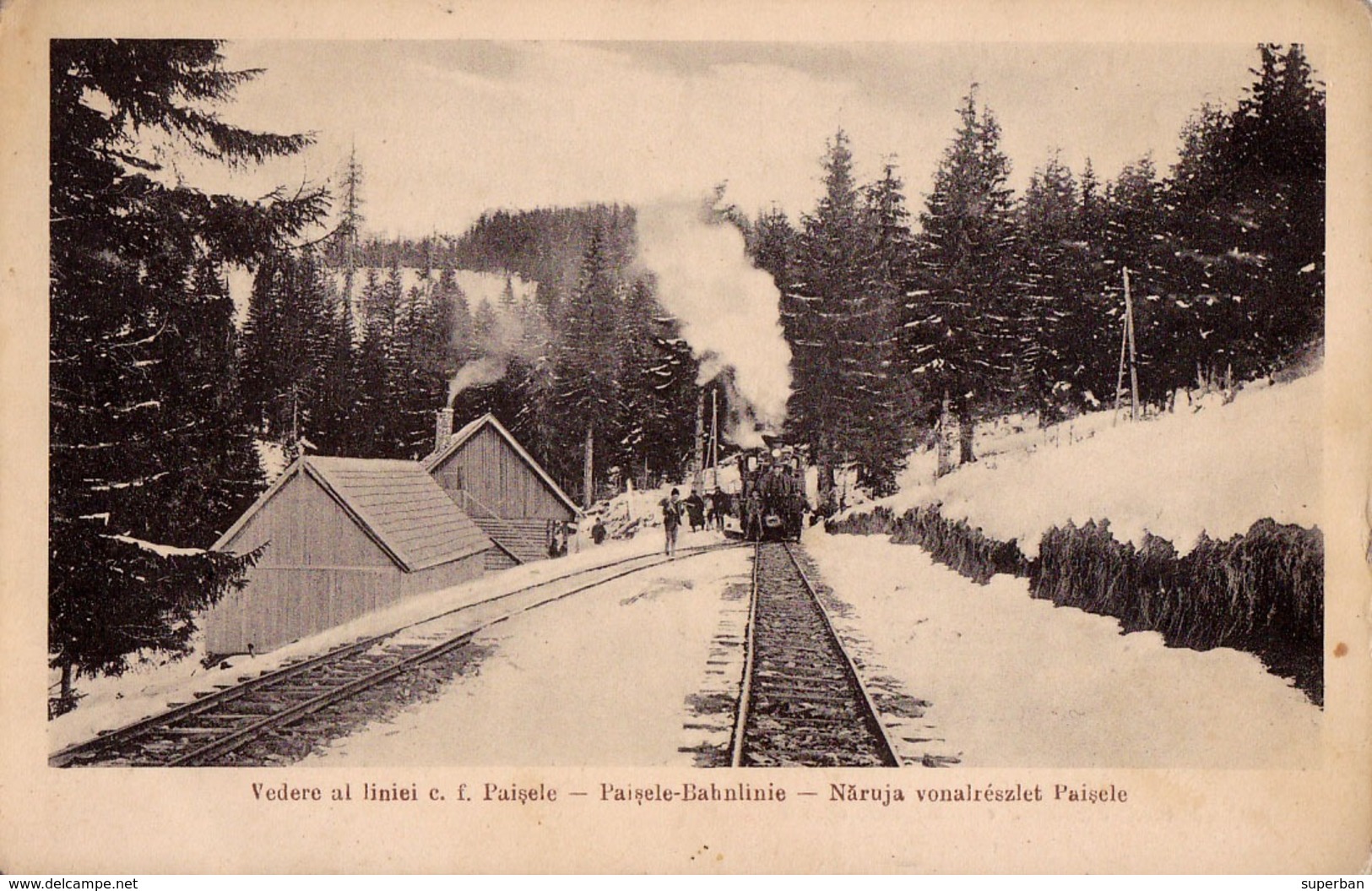 TRANSPORT DU BOIS Avec TRAIN FORESTIER / TIMBER TRANSPORT On RAILWAY - COVASNA / COMANDOU ~ 1933 (ad005) - Roumanie