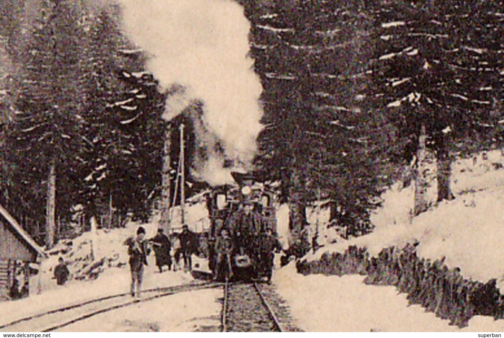 TRANSPORT DU BOIS Avec TRAIN FORESTIER / TIMBER TRANSPORT On RAILWAY - COVASNA / COMANDOU ~ 1933 (ad005) - Roumanie