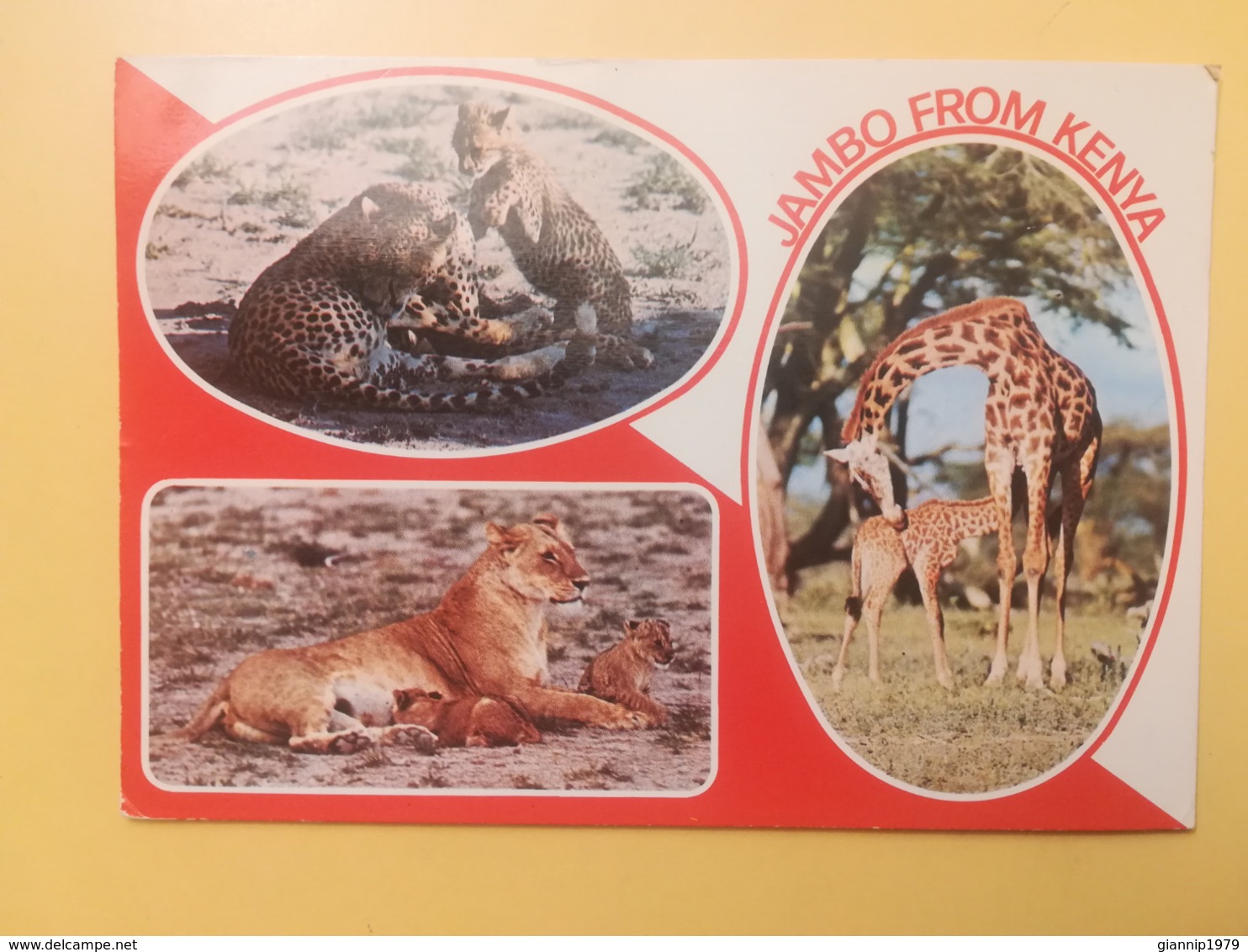 CARTOLINA POSTCARD KENIA KENYA 1980 WILDLIFE NATURA ANIMALI VITA JAMBO BOLLO MINERALI OBLITERE MOMBASA ANNULLO - Kenia