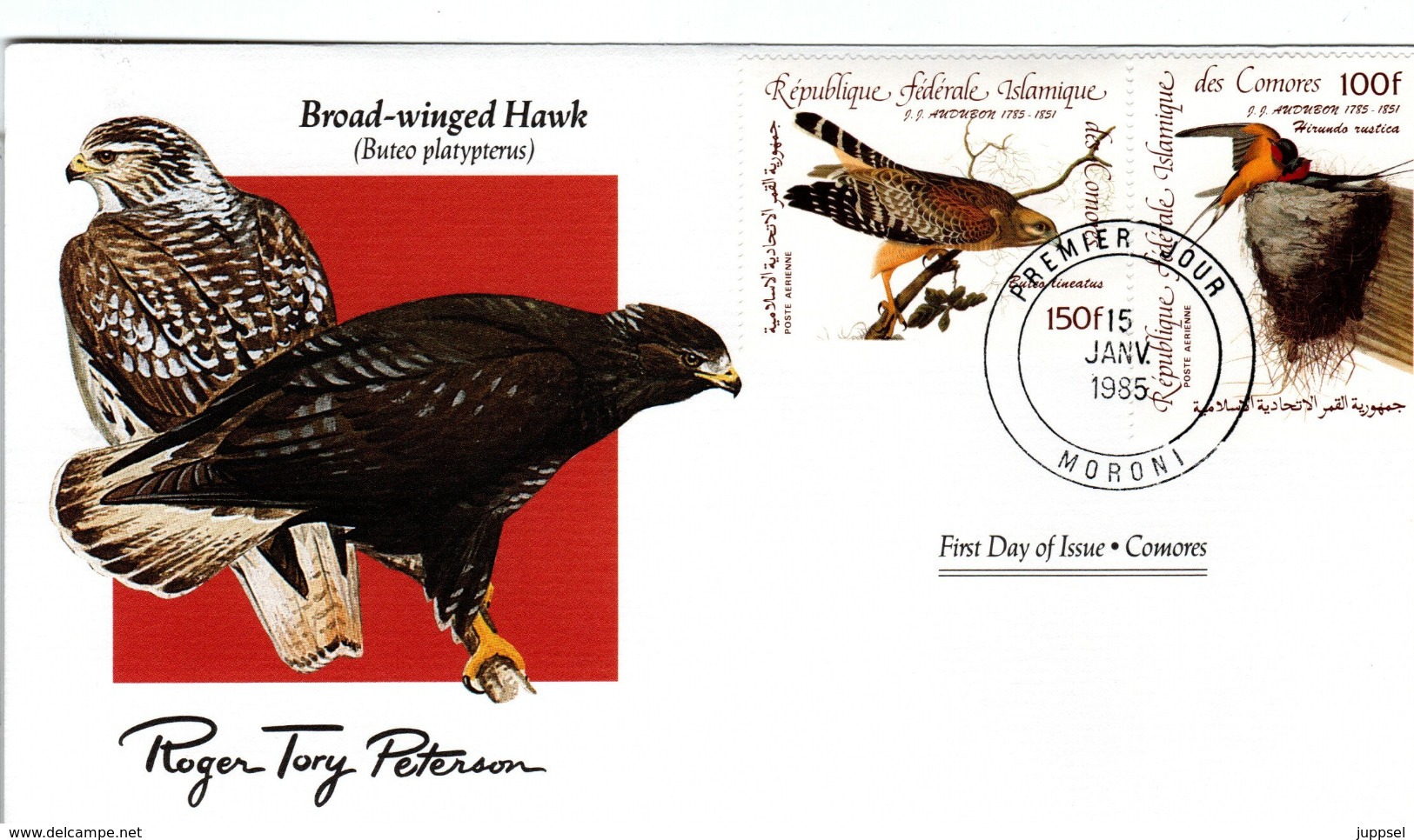 FDC COMOROS  Birds  /  Oiseaux, COMORES, Lettre De Première Jour,  BUTEO PLATYPTERUS - Sonstige & Ohne Zuordnung