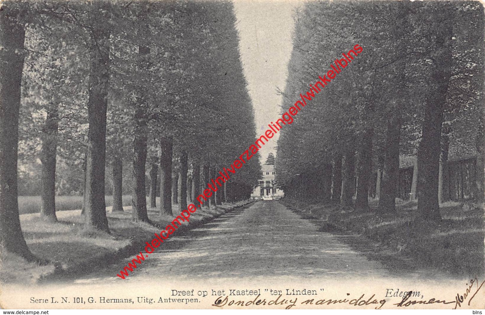 Dreef Op Het Kasteel Ter Linden - G. Hermans - 1905 - Edegem - Edegem