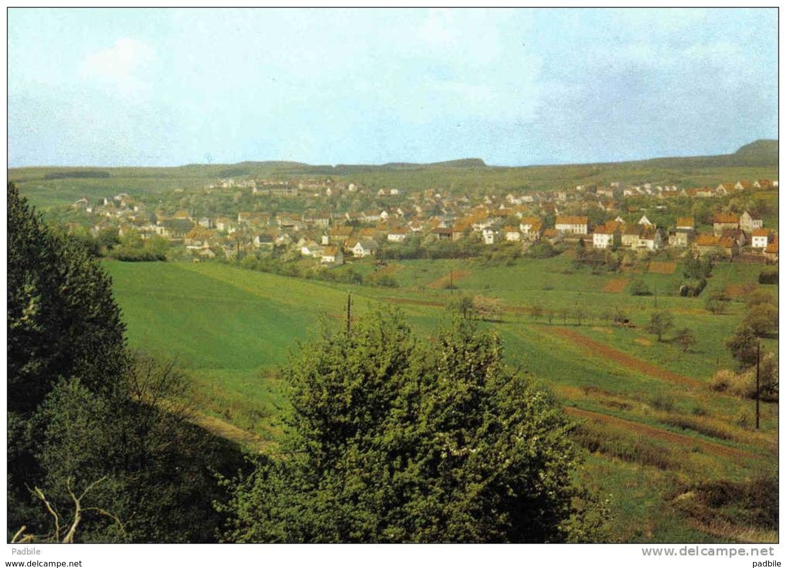 Carte Postale Allemagne  Alsweiler  Trés Beau Plan - Kreis Sankt Wendel