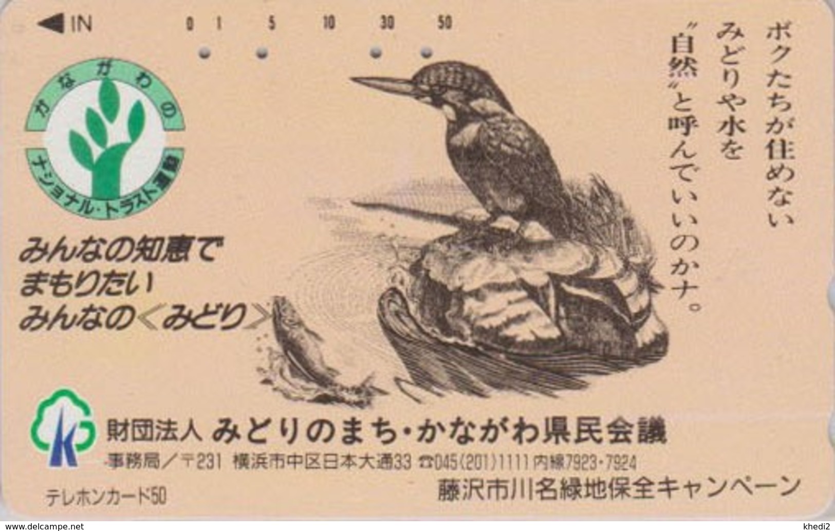 TC Japon / 110-011 - Animal - OISEAU MARTIN PECHEUR & POISSON - KINGFISHER BIRD & FISH Japan Phonecard - 4507 - Autres & Non Classés