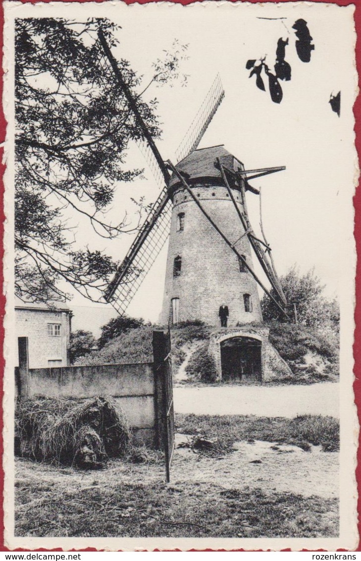 Balegem Bij Oosterzele Klepmolen Windmolen Windmill Moulin A Vent (In Zeer Goede Staat) - Oosterzele