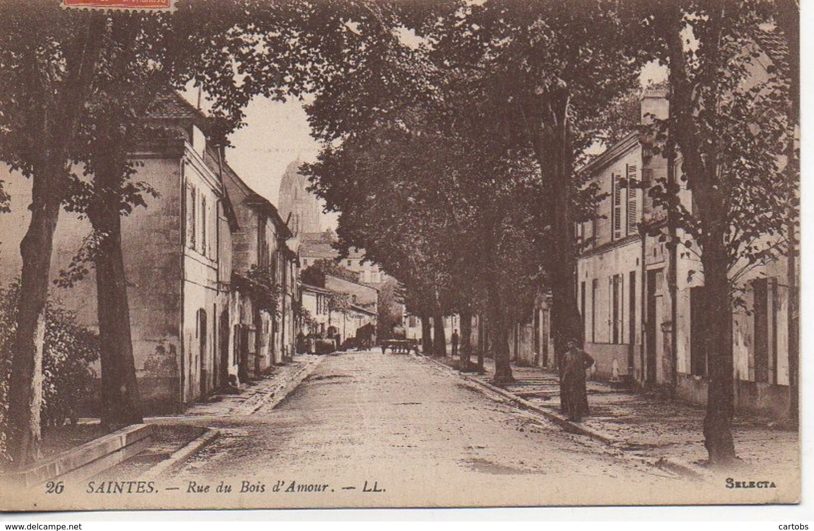 17 SAINTES  Rue Du Bois  D'Amour - Saintes