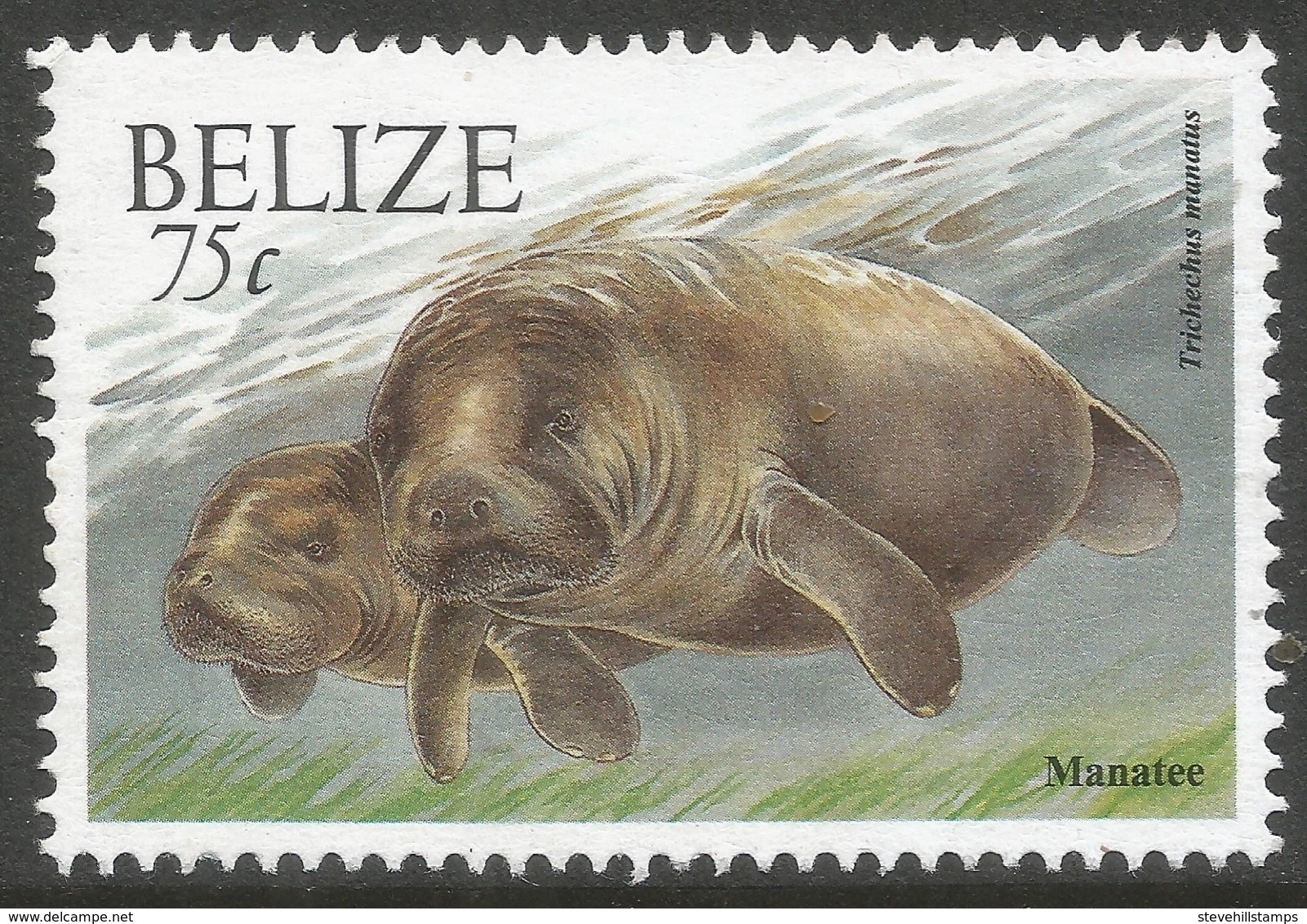 Belize. 2000 Wildlife. 75c MNH. SG 1261 - Belize (1973-...)