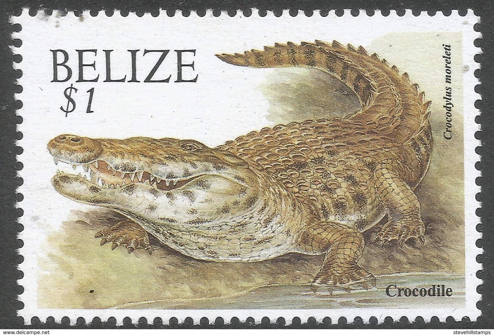 Belize. 2000 Wildlife. $1 MNH. SG 1262 - Belize (1973-...)