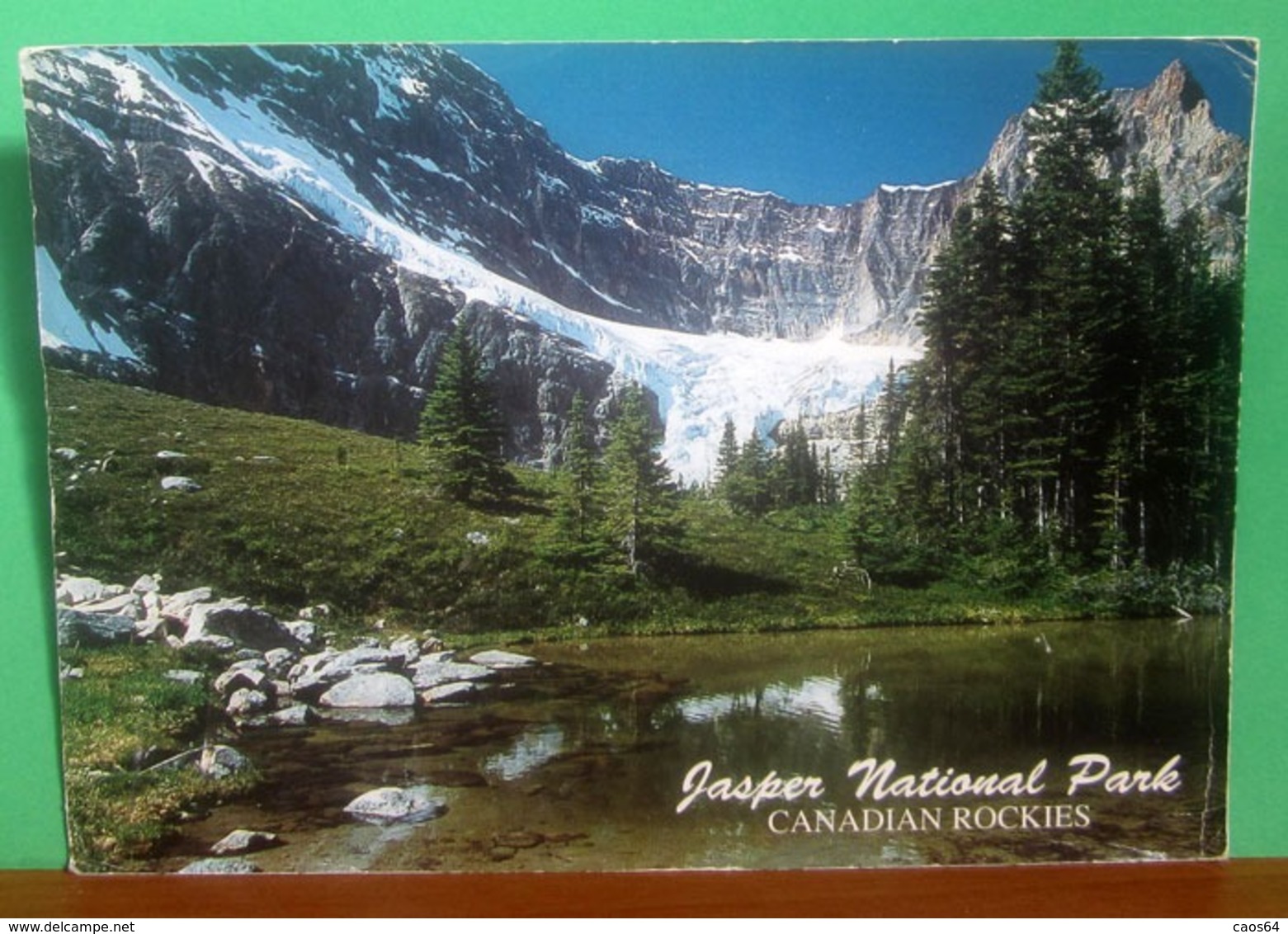 CANADIAN ROCKIES Jasper National Park  Cartolina Viaggiata 1993 - Jasper