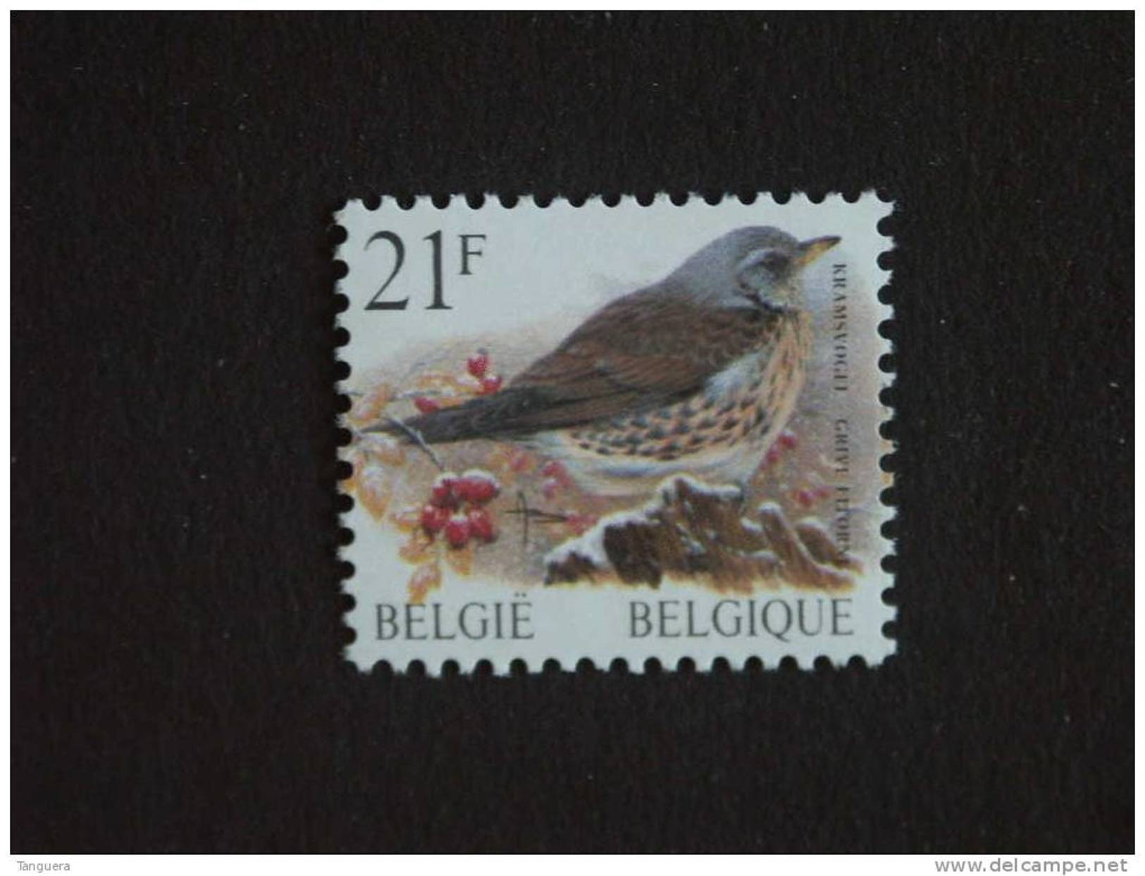 België Belgique Belgium 1998 Vogels Oiseaux Buzin Kramsvogel Grive Rouleau Rolzegel R87 2792 MNH ** - Coil Stamps