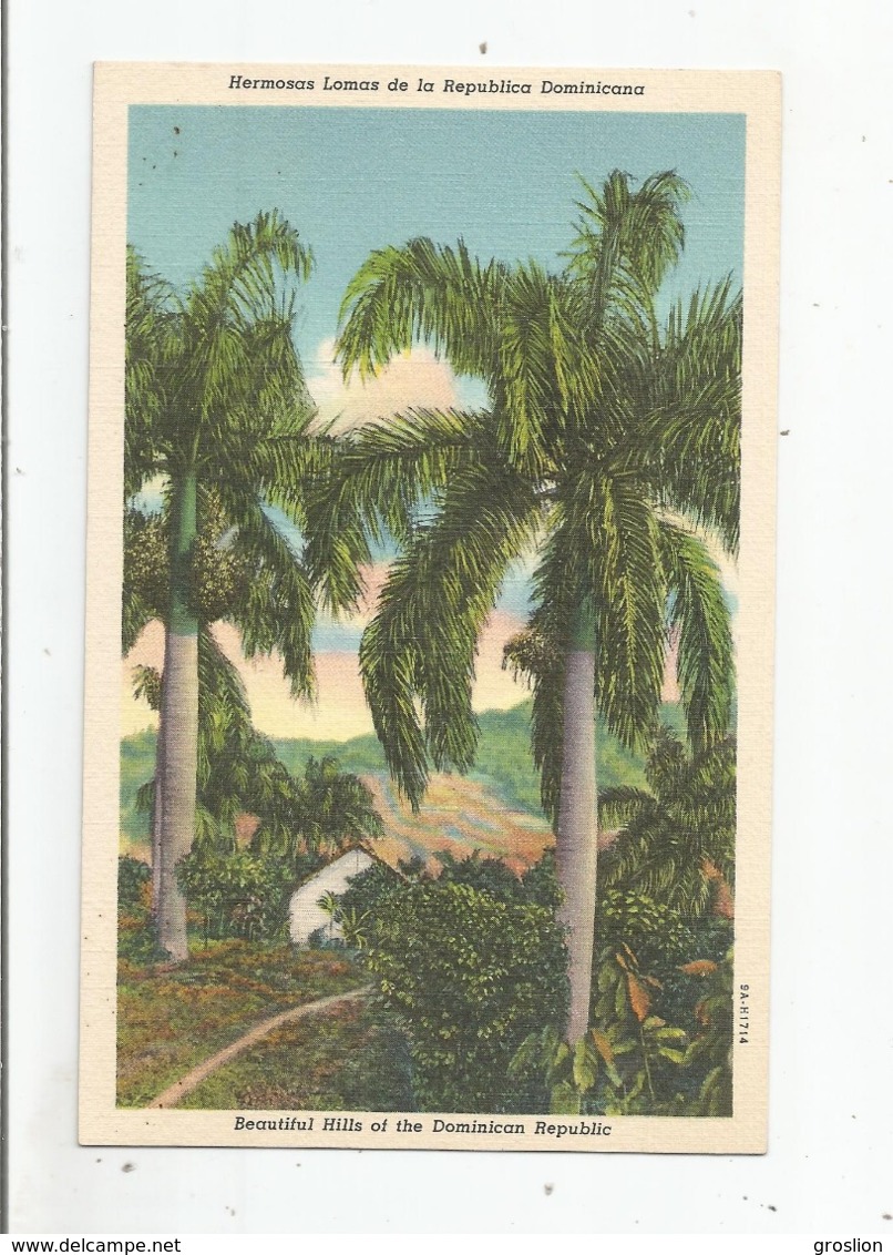 HERMOSAS LOMAS DE LA REPUBLICA DOMINICANA 9.1714 - Dominicaine (République)