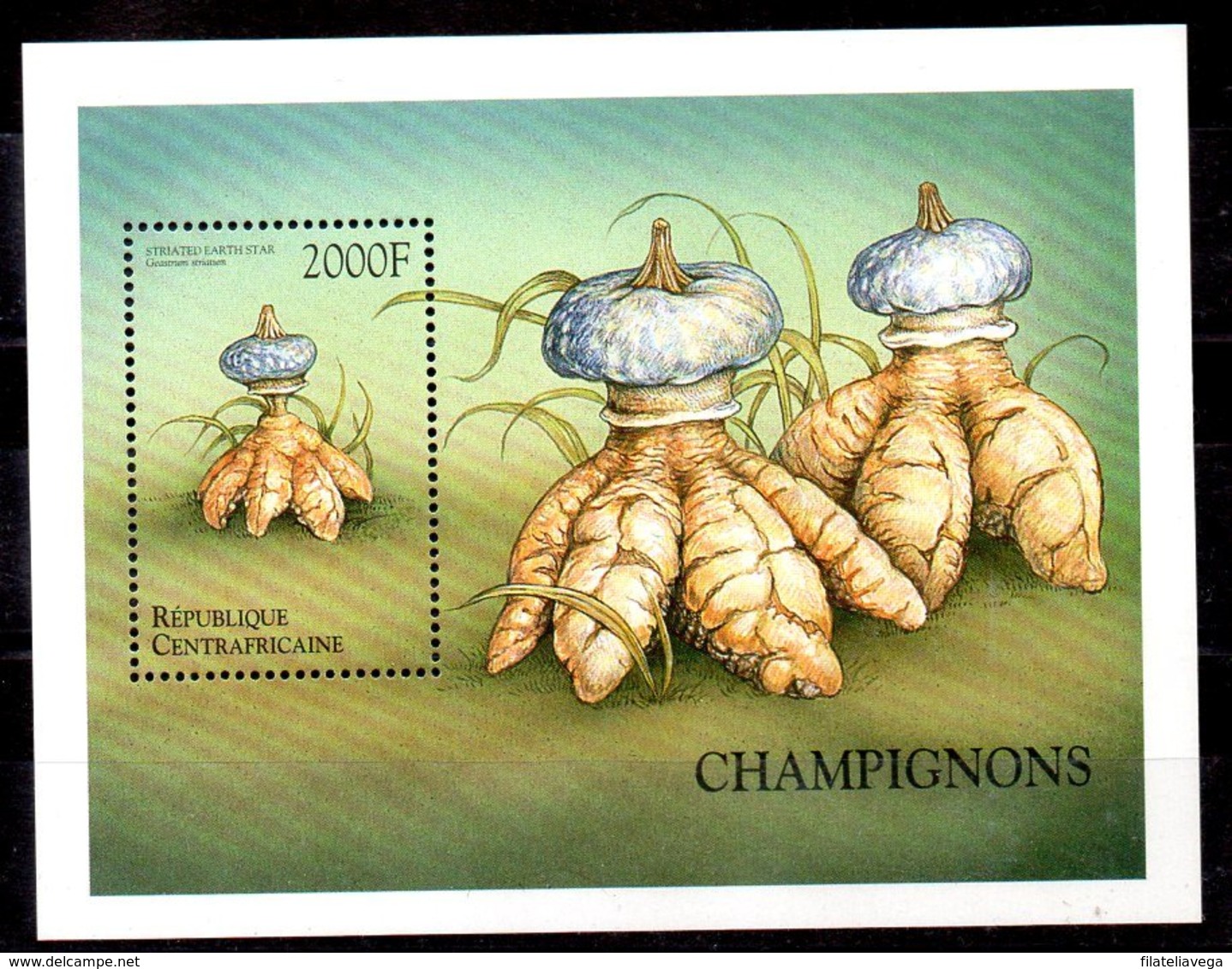 República Centroafricana Hoja Bloque N ºYvert 171 ** SETAS (MUSHROOMS) - República Centroafricana