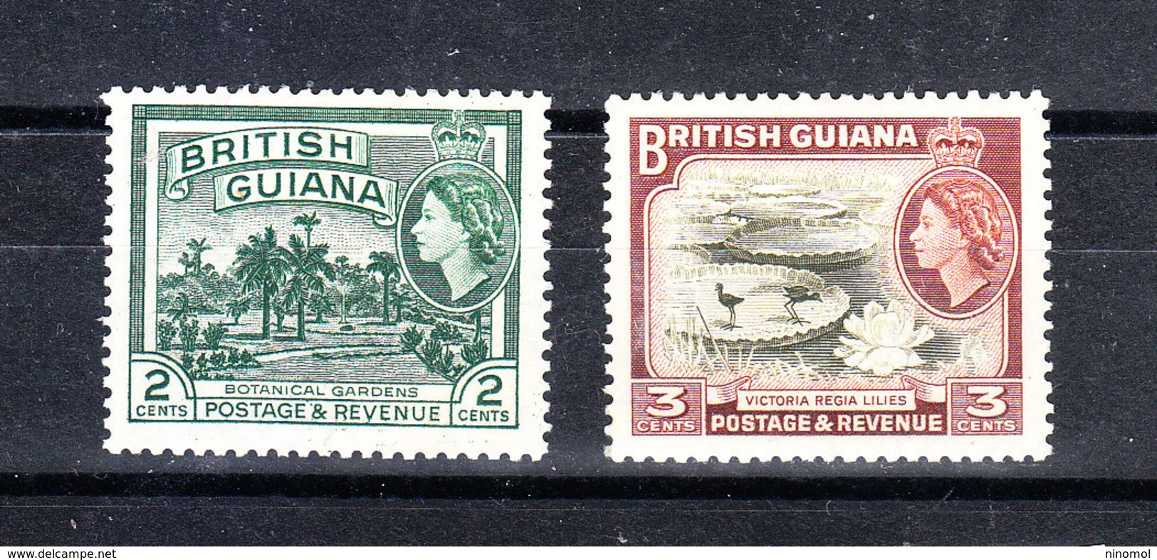 Guyana  British - 1954. Orto Botanico E Gigli. Unique "Flora" Of The Ordinary Series.. Botanical Garden And Lilies. MNH - Vegetables