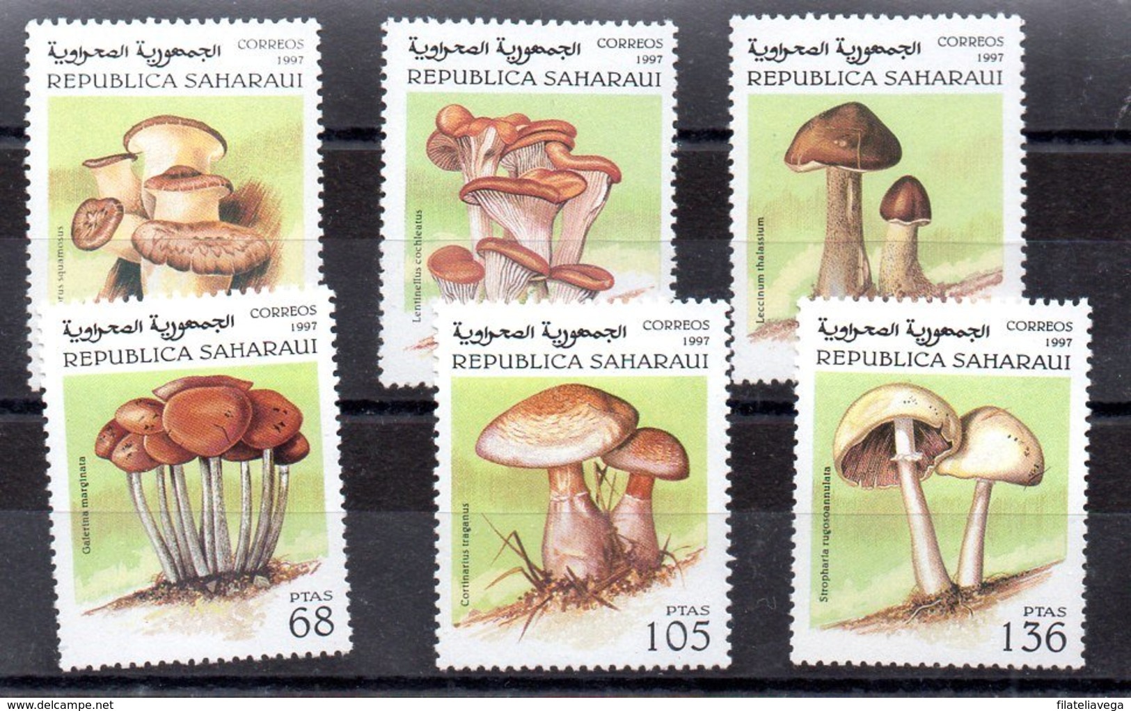 República Saharaui Serie Completa Año 1997 ** SETAS (MUSHROOMS) - Sahara Spagnolo