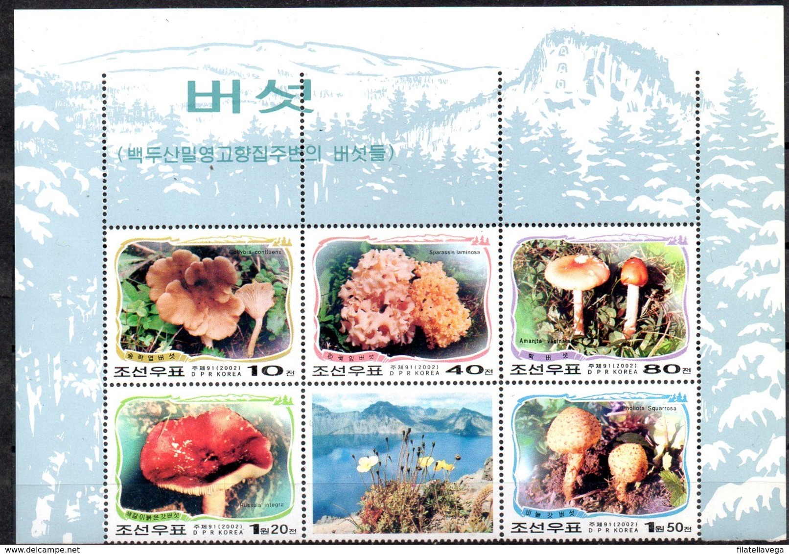 Corea Del Norte Serie Completa Nº Yvert 3145/49 ** SETAS (MUSHROOMS) - Corea Del Norte