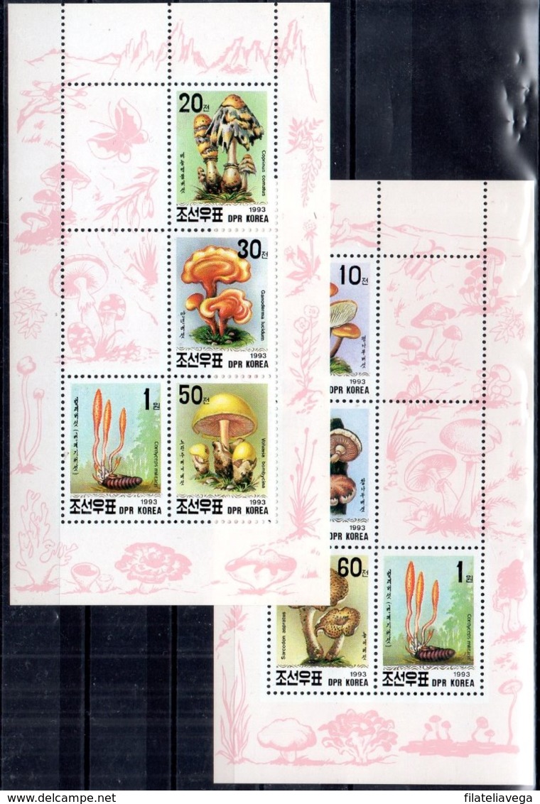 Corea Del Norte Hojas Bloque Nº Yvert 120/21 ** SETAS (MUSHROOMS) - Corea Del Norte