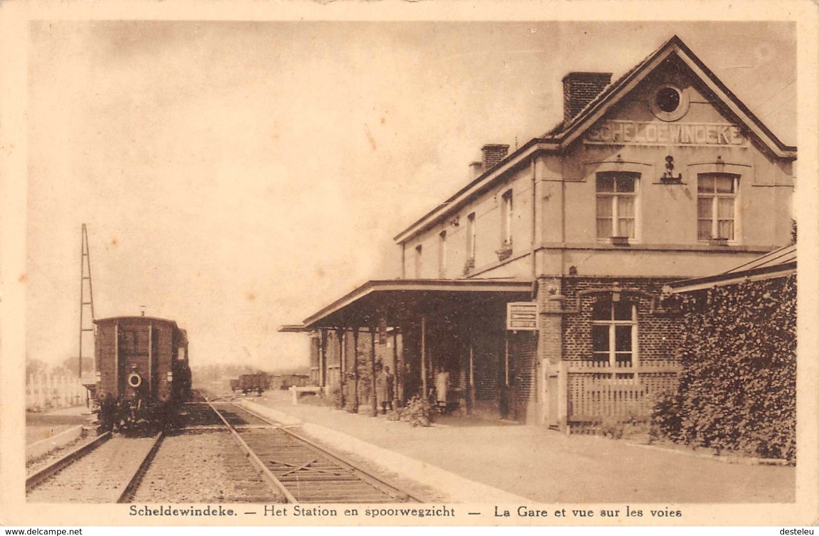 Het Station En Spoorwegzicht - Scheldewindeke - Oosterzele