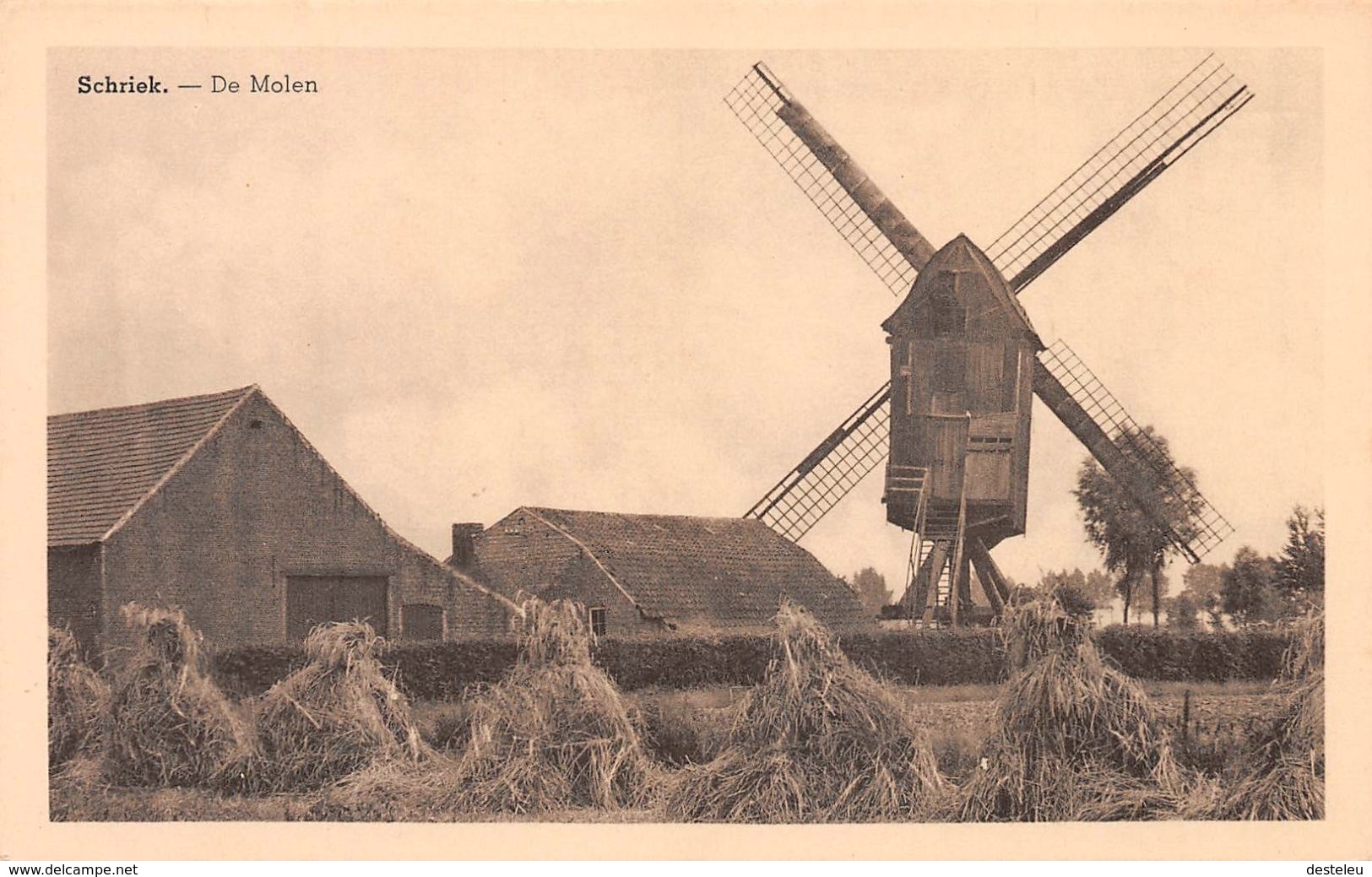 De Molen - Schriek - Heist-op-den-Berg