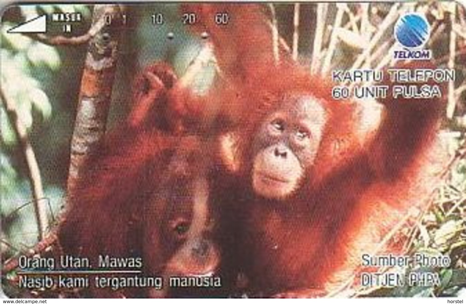 Indonesien - IND 198 ANIMALS IN DANGER ORANG UTAN - 60 Units - Indonésie