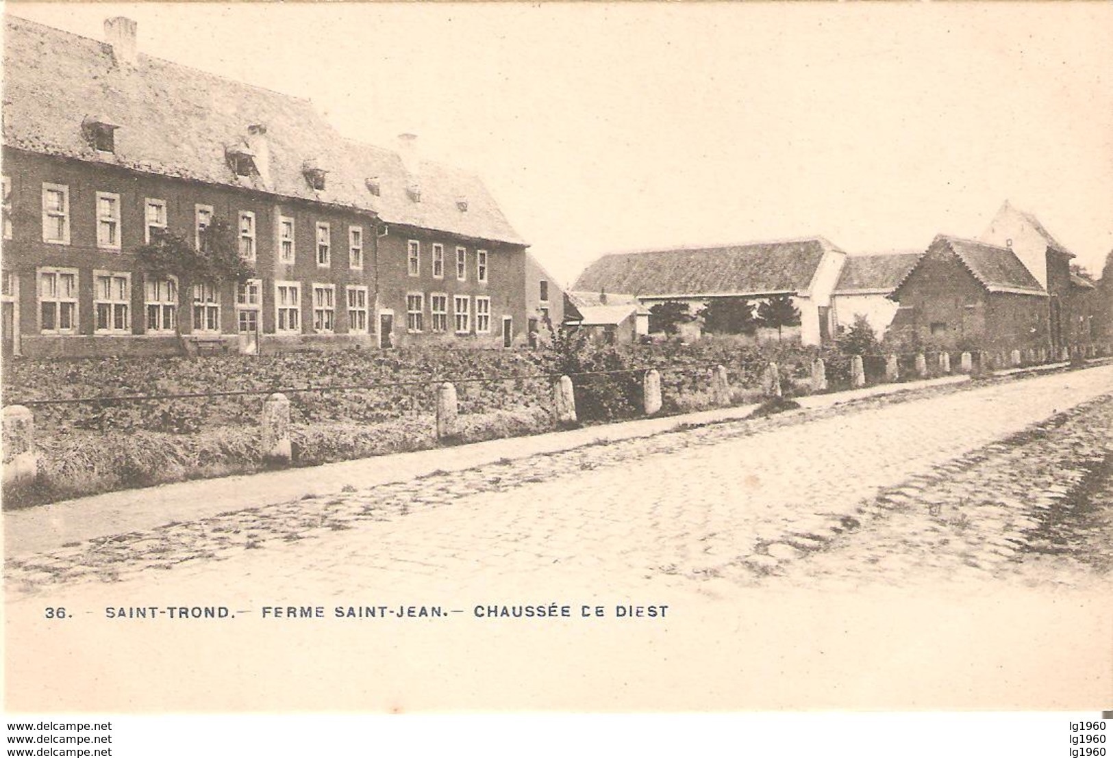 431a) SINT-TRUIDEN -  Ferme Saint-Jean - Chaussée De Diest - Sint-Truiden