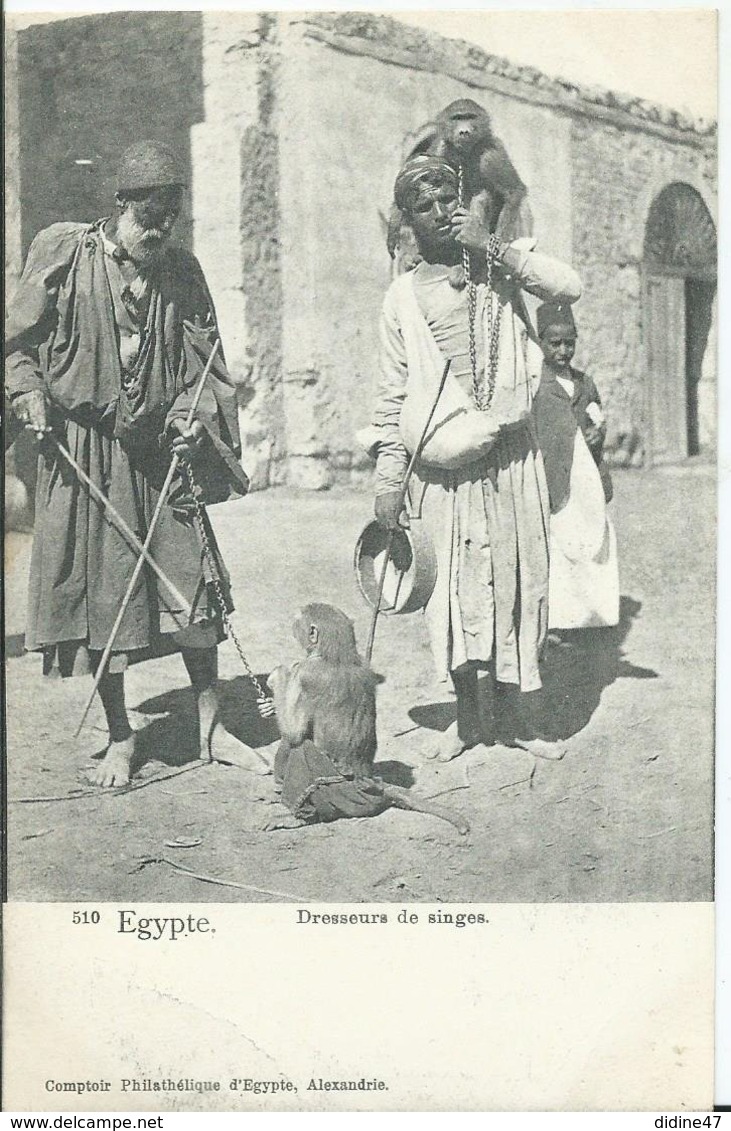 EGYPTE - Dresseurs De Singes - Personnes