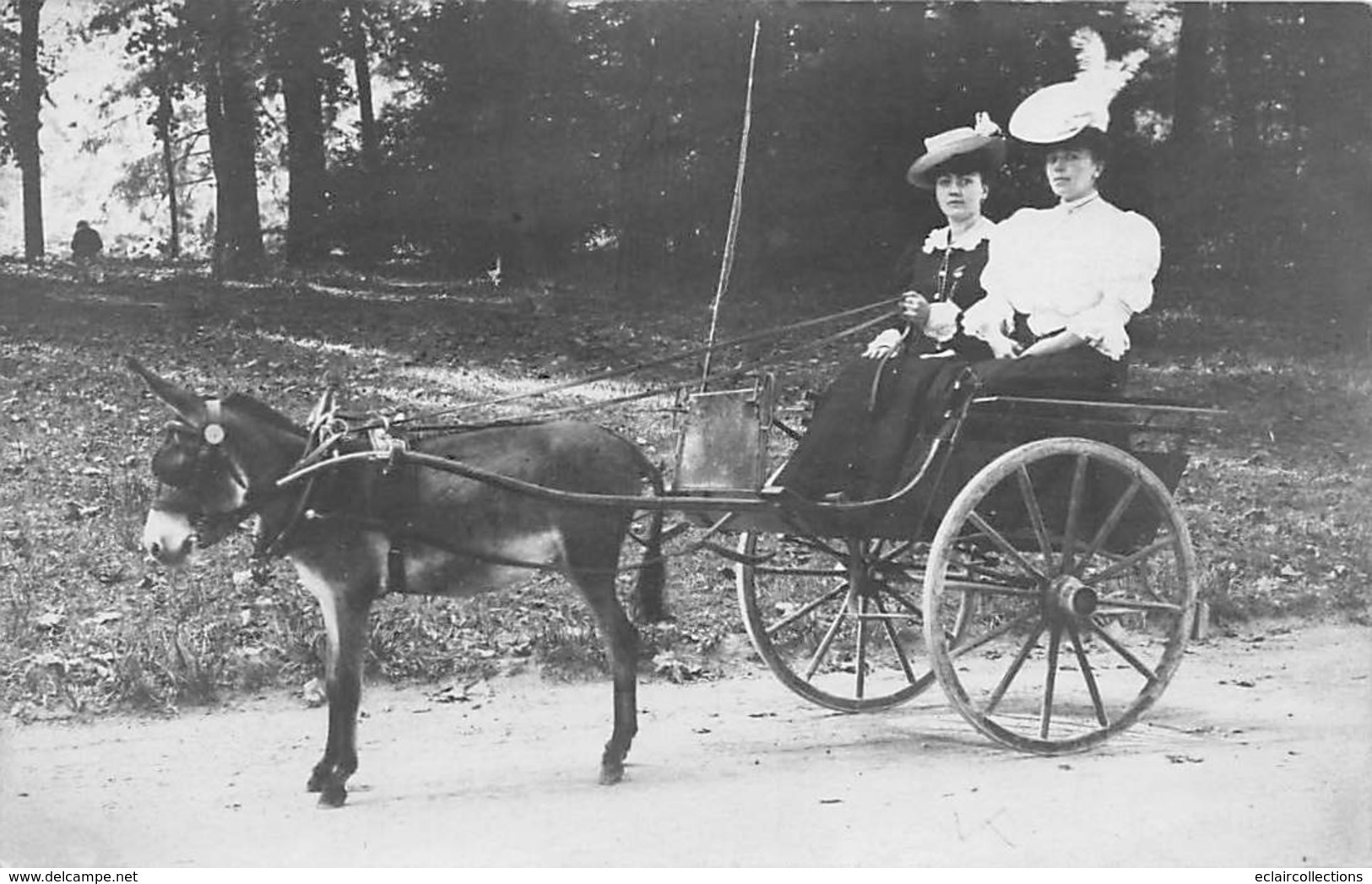 Thème:   Attelage Divers Et Chaise A Porteur. Attelage âne .Charrette Anglaise En Promenade Carte Photo.    (Voir Scan) - Other & Unclassified