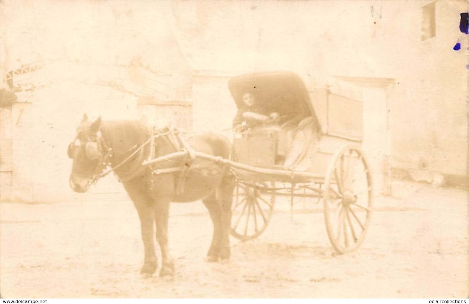 Thème:   Attelage Divers Et Chaise A Porteur. Attelage Cheval Marchande De Pains Peut-être Le Loiret . Pho   (Voir Scan) - Sonstige & Ohne Zuordnung