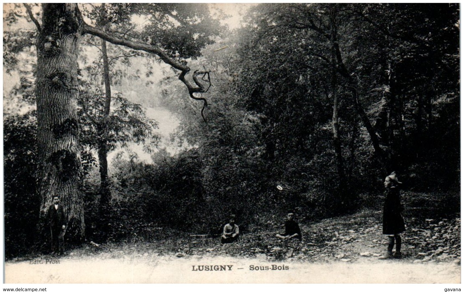 21 LUSIGNY - Sous-bois - Other & Unclassified