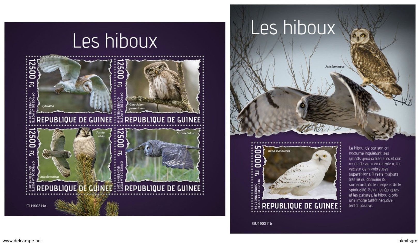 GUINEA 2019 - Owls. M/S + S/S. Official Issue [GU190311] - Búhos, Lechuza