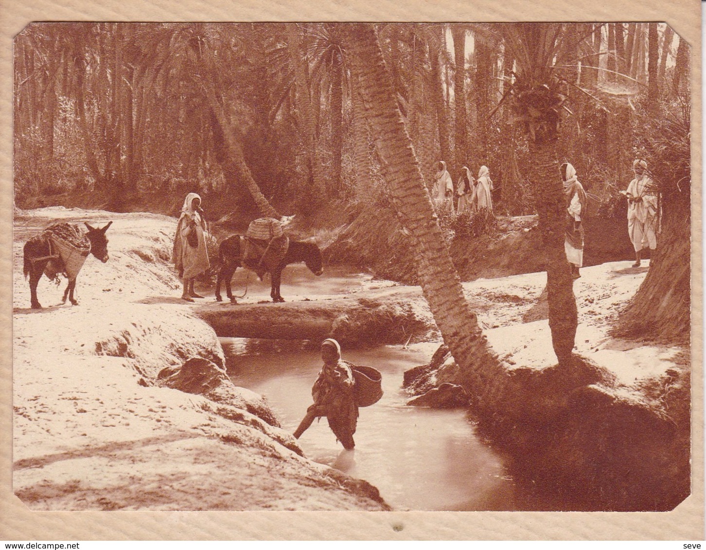 TOZEUR Tunisie Septembre 1923 Photo Amateur Format Environ 5,5 X 3,5 - Lugares