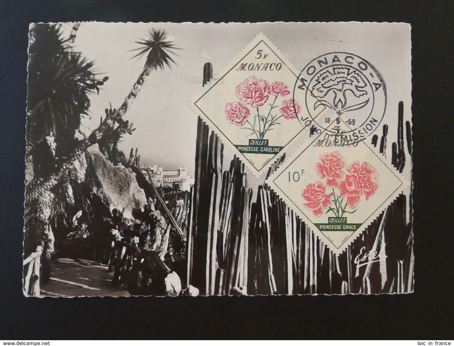 Carte Maximum Card Jardin Exotique Monaco 1959 - Cactus