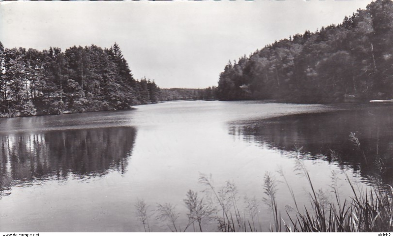 AK Litschau - Herrensee (43779) - Gmünd