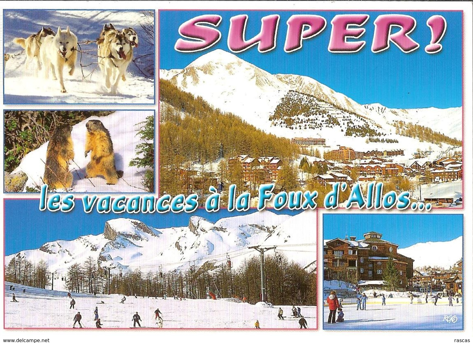 CPM - ALPES DE HAUTE PROVENCE - SUPER ! LES VACANCES A LA FOUX D'ALLOS - CHIENS DE TRAINEAUX - MARMOTTES - PATINOIRE - Altri & Non Classificati