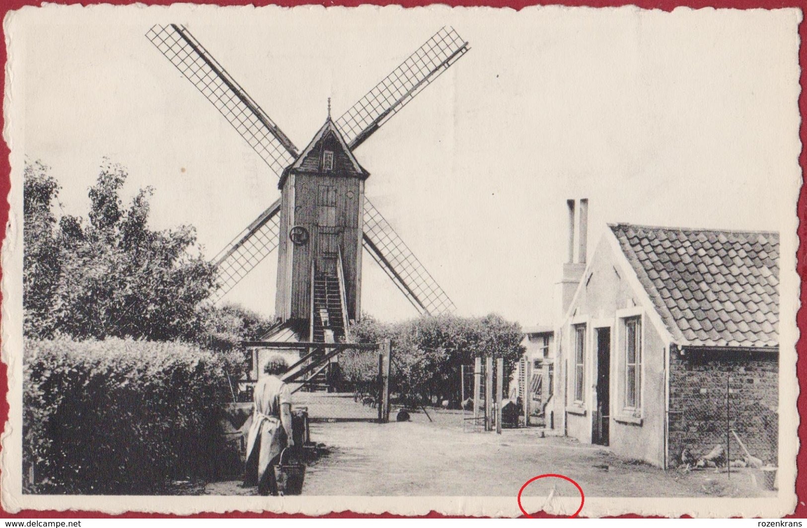Bredene Aan Zee De Oude Molen Windmolen Windmill Le Vieux Moulin A Vent (scheurtje) - Bredene