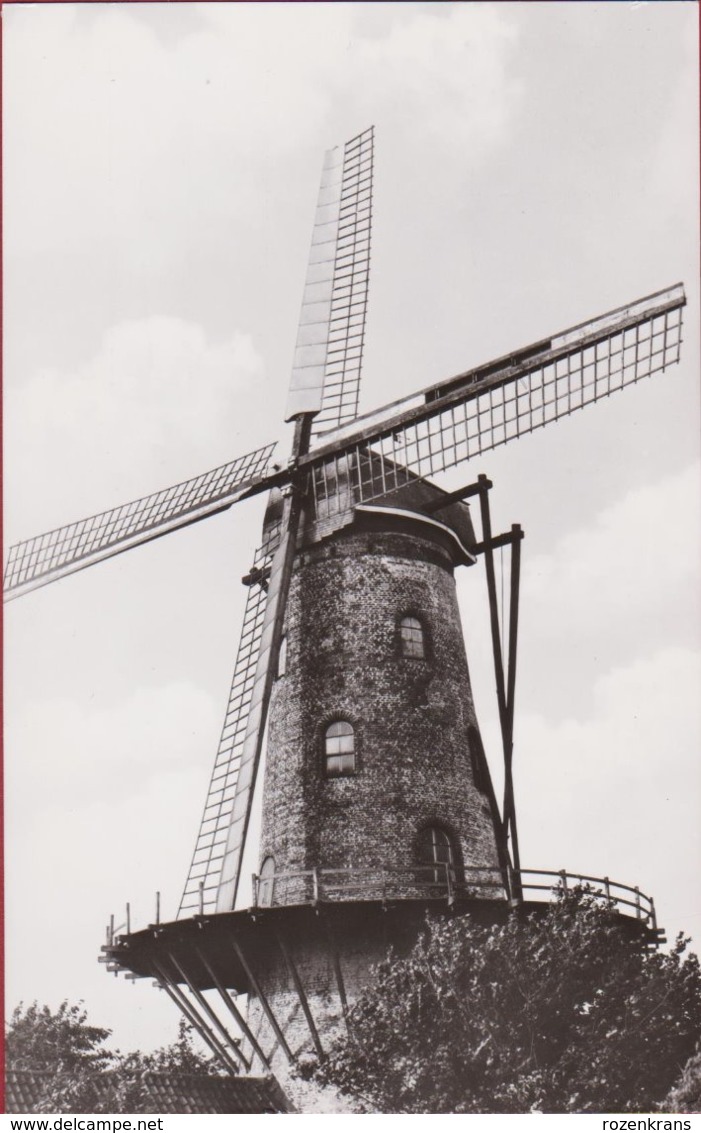 Ruiselede Hosten' S Molen Hostensmolen Windmolen Windmill Moulin A Vent ZELDZAAM - Ruiselede