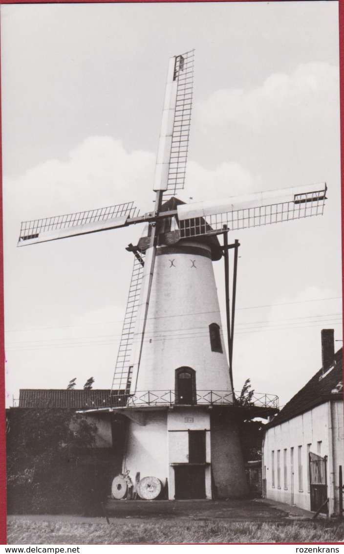 Ruiselede Knokmolen Windmolen Windmill Moulin A Vent ZELDZAAM - Ruiselede